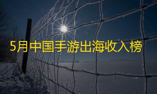 透视开挂器(免费)5月中国手游出海收入榜出炉	！《Gossip Harbor》首次夺得亚军